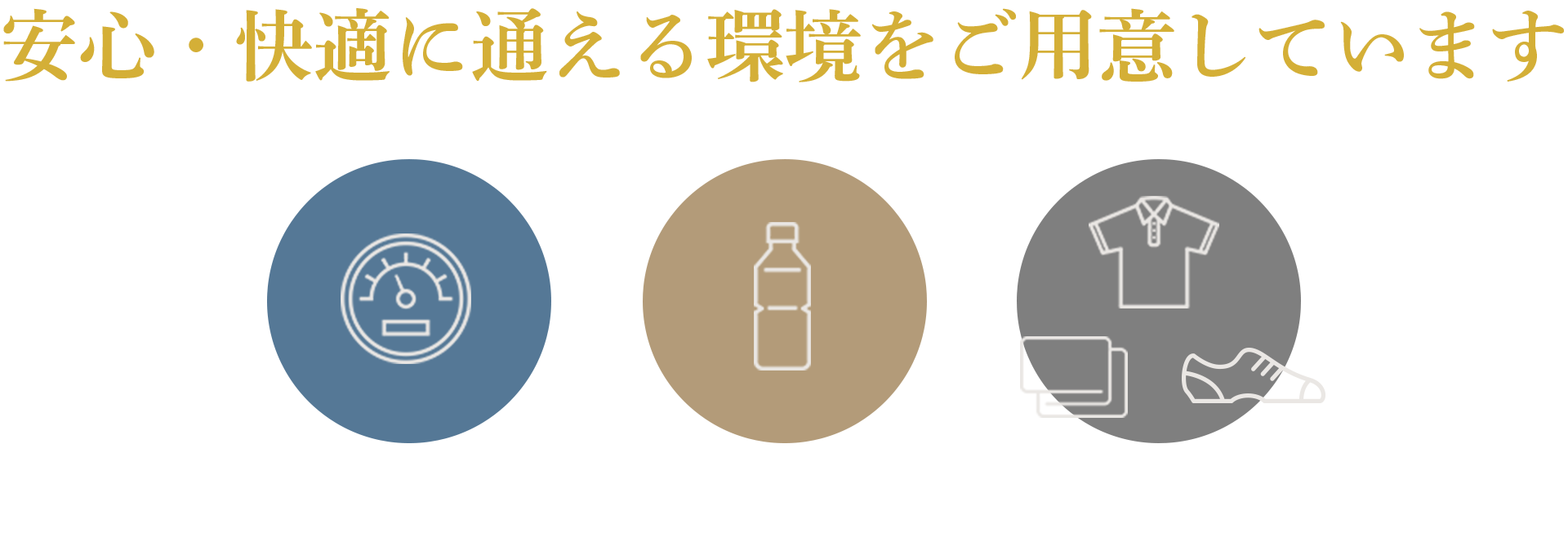 トレーニングの人間ドック、目標設定とオリジナルメニュー、食事管理とアドバイス、パーソナルトレーナーの丁寧な対応